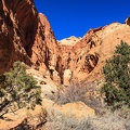 Day.3.Bryce.to.Capitol.Reef.to.Moab.0041