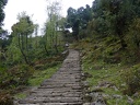 P1010733