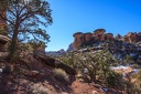 Day.5.Canyonlands.The.Needles.0018