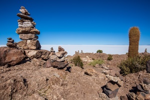 Day-14-Uyuni-Isla-Incahuasi-0027