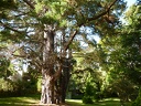 P1000555