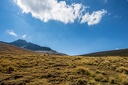 Day-10-Trek-6-0009