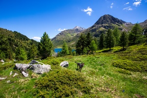 Day.12.Anterselva.Obersee-0014