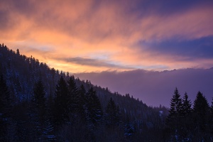 Col.du.Coq.2013.02.26.0009