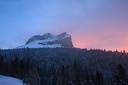 Col.du.Coq.2013.02.26.0004