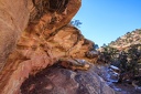 Day.3.Bryce.to.Capitol.Reef.to.Moab.0023