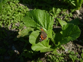 P1010663