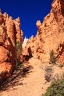 Day.2.Zion.to.Bryce.0039