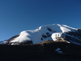 P1010524