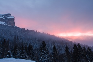 Col.du.Coq.2013.02.26.0002