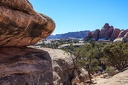 Day.5.Canyonlands.The.Needles.0016