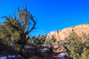 Day.3.Bryce.to.Capitol.Reef.to.Moab.0016