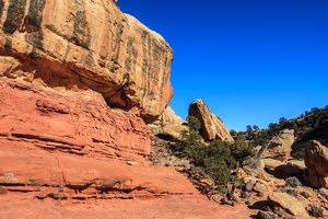 Day.3.Bryce.to.Capitol.Reef.to.Moab.0028