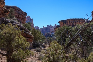 Day.5.Canyonlands.The.Needles.0022