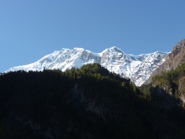 P1010229