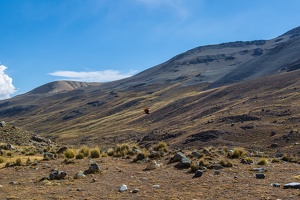Day-05-Trek-1-0006