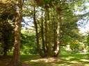P1000556
