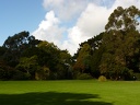 P1000560