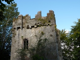 P1000565