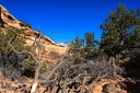 Day.3.Bryce.to.Capitol.Reef.to.Moab.0025