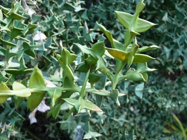 P1000561