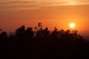 Montaigu.2012.06.23.0004