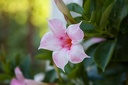 Montaigu.2012.06.23.0009