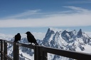 Picnic.a.l.aiguille.du.Midi.2013.04.22.0006