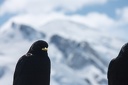 Picnic.a.l.aiguille.du.Midi.2013.04.22.0009