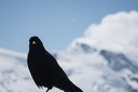 Picnic.a.l.aiguille.du.Midi.2013.04.22.0011