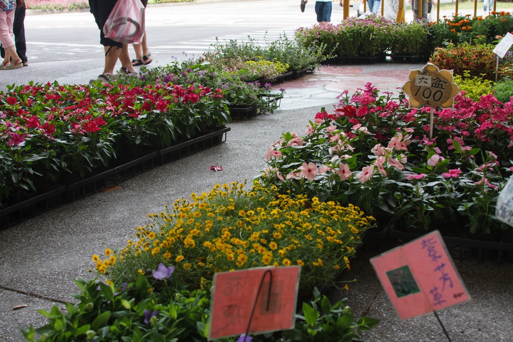 Longshan.Zoo.Flower.Market.Ximendig.2012.09.22.0054.JPG