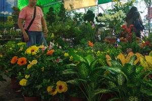 Longshan.Zoo.Flower.Market.Ximendig.2012.09.22.0060