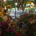 Longshan.Zoo.Flower.Market.Ximendig.2012.09.22.0072