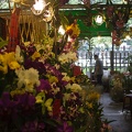 Longshan.Zoo.Flower.Market.Ximendig.2012.09.22.0073