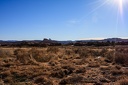 Day.5.Canyonlands.The.Needles.0002