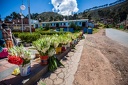 Day-03-Titicaca-Isla-del-Sol-0004