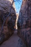 Day.3.Bryce.to.Capitol.Reef.to.Moab.0035