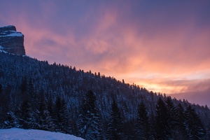Col.du.Coq.2013.02.26.0008