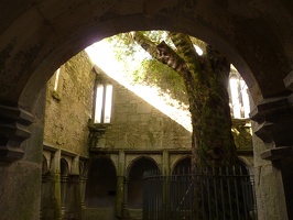 P1000595