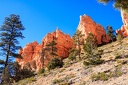 Day.2.Zion.to.Bryce.0036