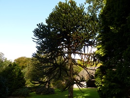 P1000557