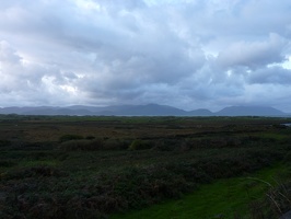 P1000613