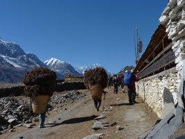 P1010359
