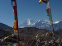 P1010554