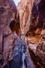 Day.3.Bryce.to.Capitol.Reef.to.Moab.0043